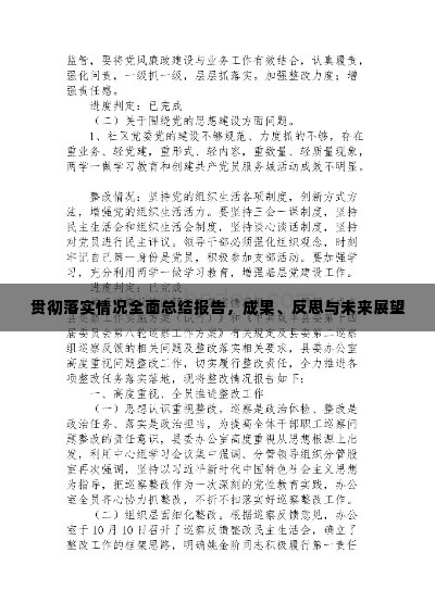 贯彻落实情况全面总结报告，成果、反思与未来展望