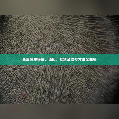 头皮突发疼痛，原因、症状及治疗方法全解析