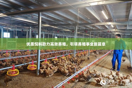 优质饲料助力高效养殖，引领养殖事业新篇章