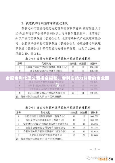 2025年6月17日 第5页