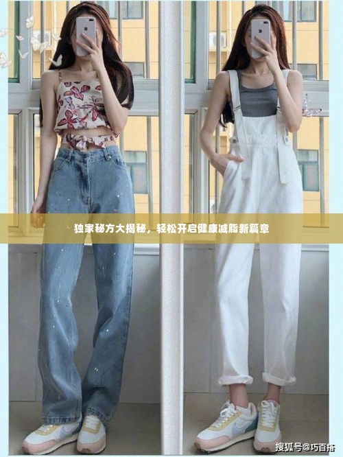 独家秘方大揭秘，轻松开启健康减脂新篇章