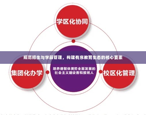 规范招生与学籍管理，构建有序教育生态的核心要素
