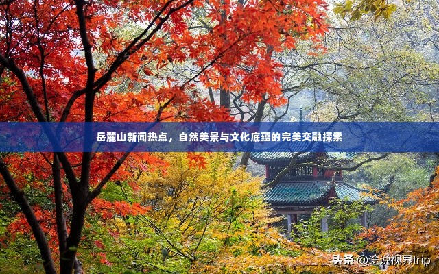 岳麓山新闻热点，自然美景与文化底蕴的完美交融探索