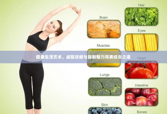 健康生活艺术，减脂攻略与韩剧魅力完美结合之道