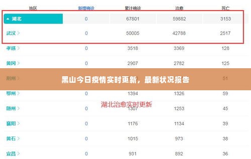 黑山今日疫情实时更新，最新状况报告