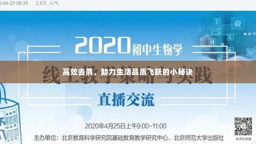 高效去屑，助力生活品质飞跃的小秘诀