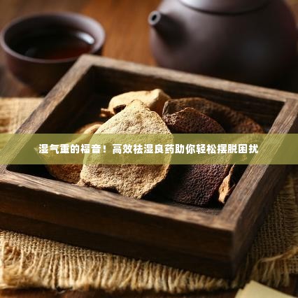 湿气重的福音！高效祛湿良药助你轻松摆脱困扰