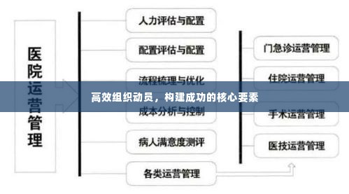 高效组织动员，构建成功的核心要素