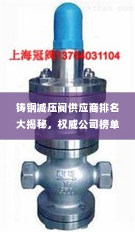 铸钢减压阀供应商排名大揭秘，权威公司榜单一网打尽！