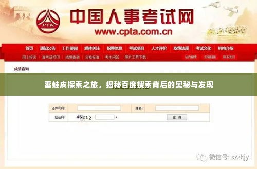 雷蛙皮探索之旅，揭秘百度搜索背后的奥秘与发现