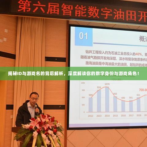 揭秘ID与游戏名的背后解析，深度解读你的数字身份与游戏角色！