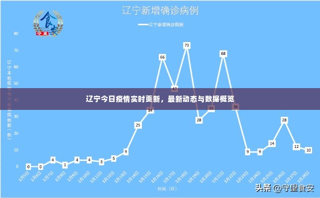 辽宁今日疫情实时更新，最新动态与数据概览