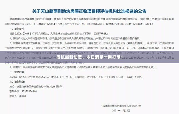 宿杭最新动态，今日消息一网打尽！