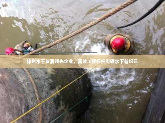 锦州水下堵洞领先企业，高效工程标杆引领水下新纪元