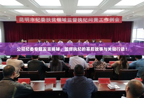 公司纪委专题发言揭秘，监督执纪的幕后故事与关键行动！