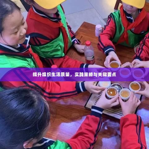 提升组织生活质量，实践策略与关键要点