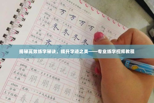 揭秘高效练字秘诀，提升字迹之美——专业练字视频教程