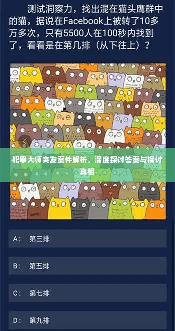 犯罪大师突发案件解析，深度探讨答案与探讨真相